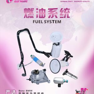 Fuel system